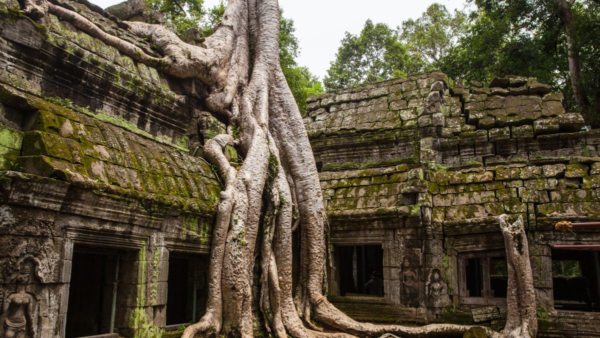 ปราสาทตาโพรม — มุมลับในเสน่ห์แห่งเสียมราฐ