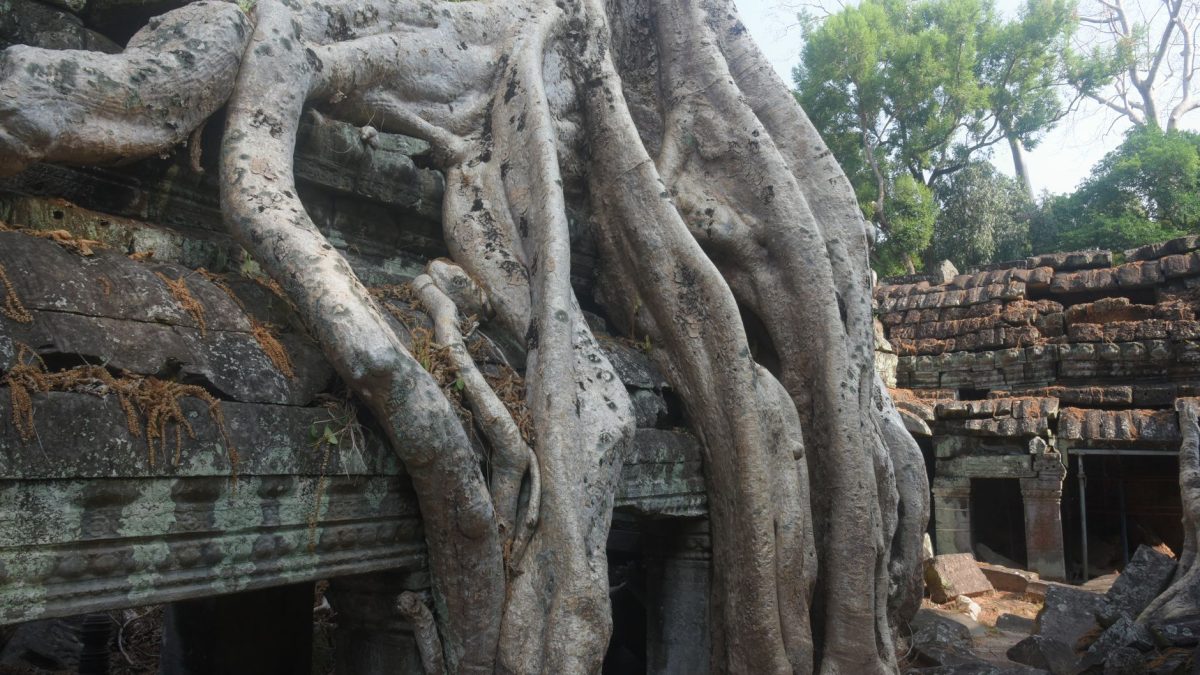 ปราสาทตาโพรม — มุมลับในเสน่ห์ของเสียมราฐ