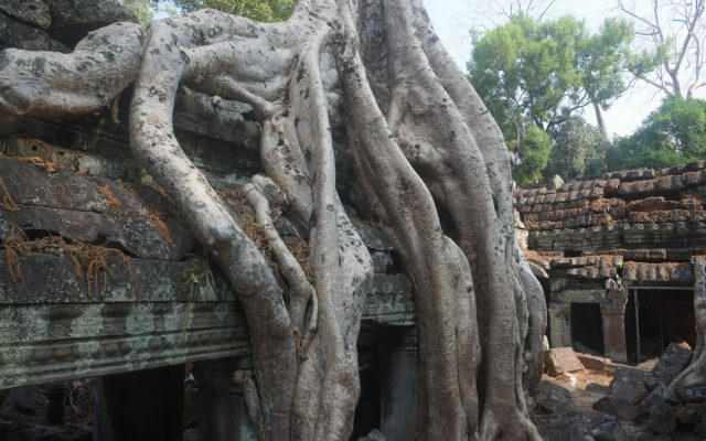 ปราสาทตาโพรม — มุมลับในเสน่ห์ของเสียมราฐ