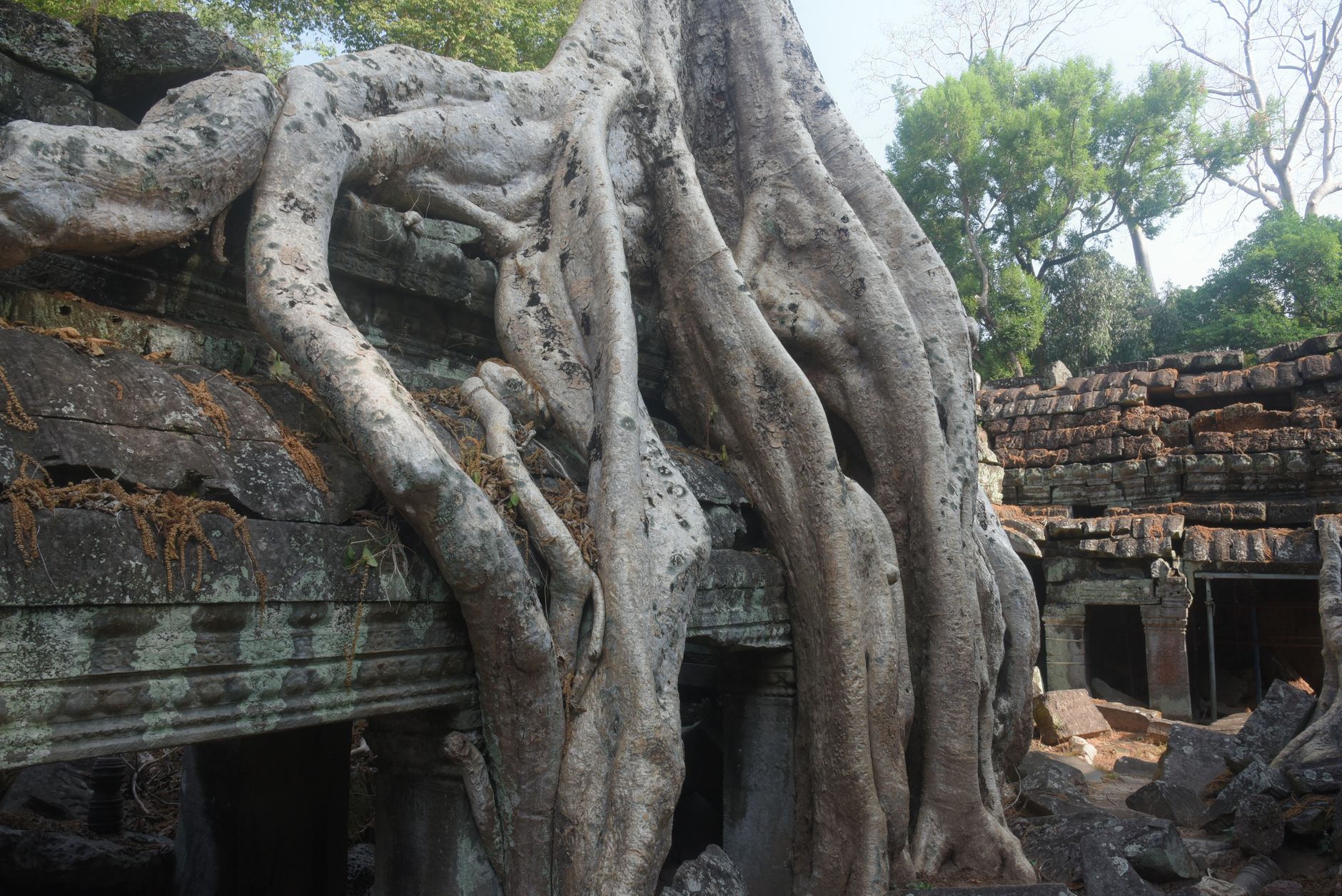 ปราสาทตาโพรม — มุมลับในเสน่ห์ของเสียมราฐ