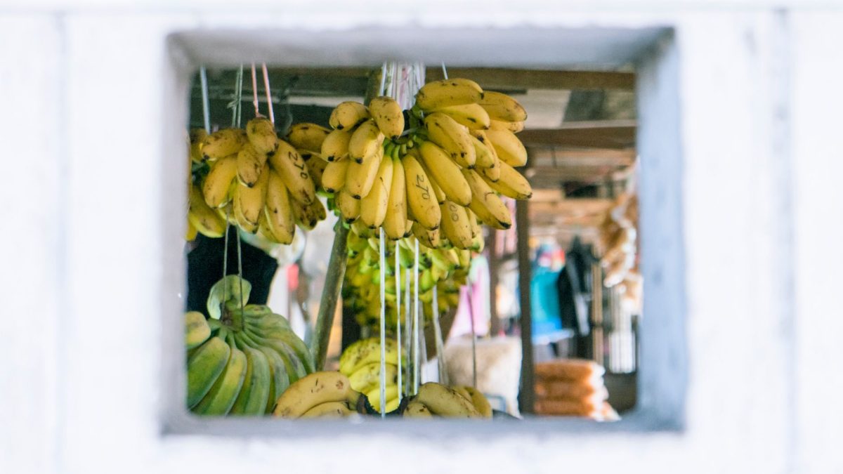 เที่ยวโกตากินาบาลูงบน้อย — มุมลับ
