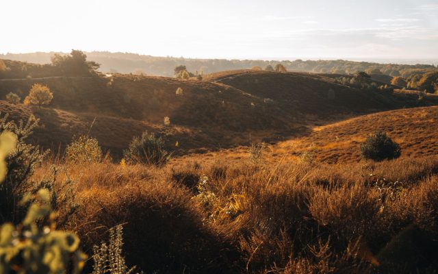 ปั่นจักรยานในป่าแห่งเนเธอร์แลนด์: การพักผ่อนในฤดูใบไม้ร่วงที่ Veluwe