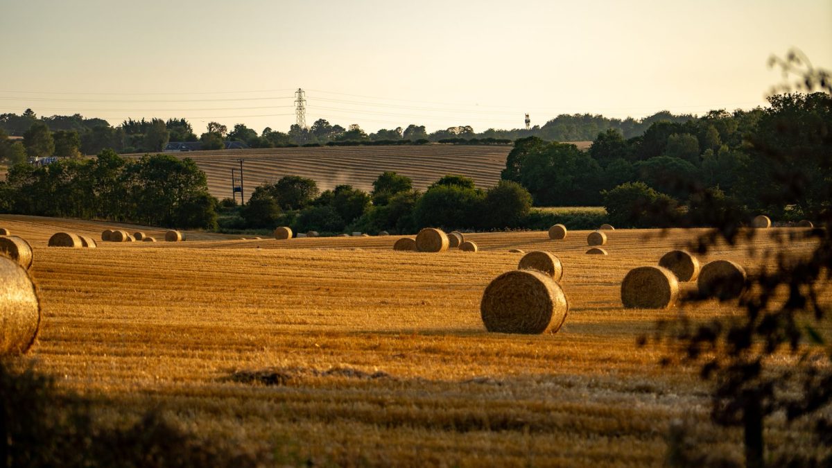 สุดสัปดาห์ใน Lincolnshire Wolds: ท้องฟ้ากว้างและการเดินเล่นที่นุ่มนวล