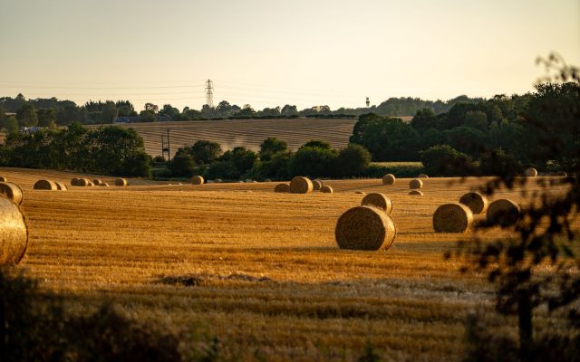 สุดสัปดาห์ใน Lincolnshire Wolds: ท้องฟ้ากว้างและการเดินเล่นที่นุ่มนวล