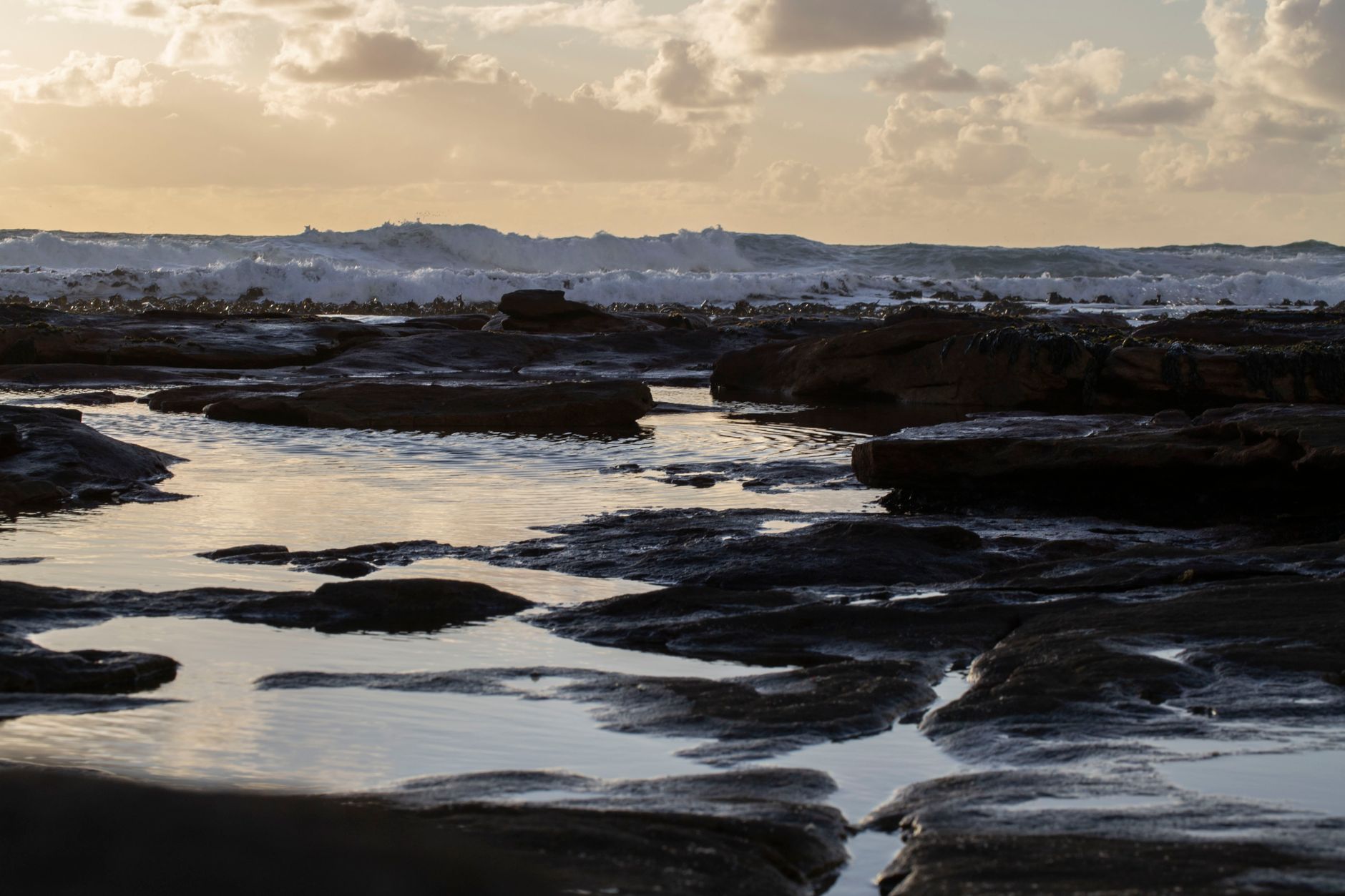 ทำไม Sea Point ถึงเป็นที่พักที่ดีที่สุดในเคปทาวน์
