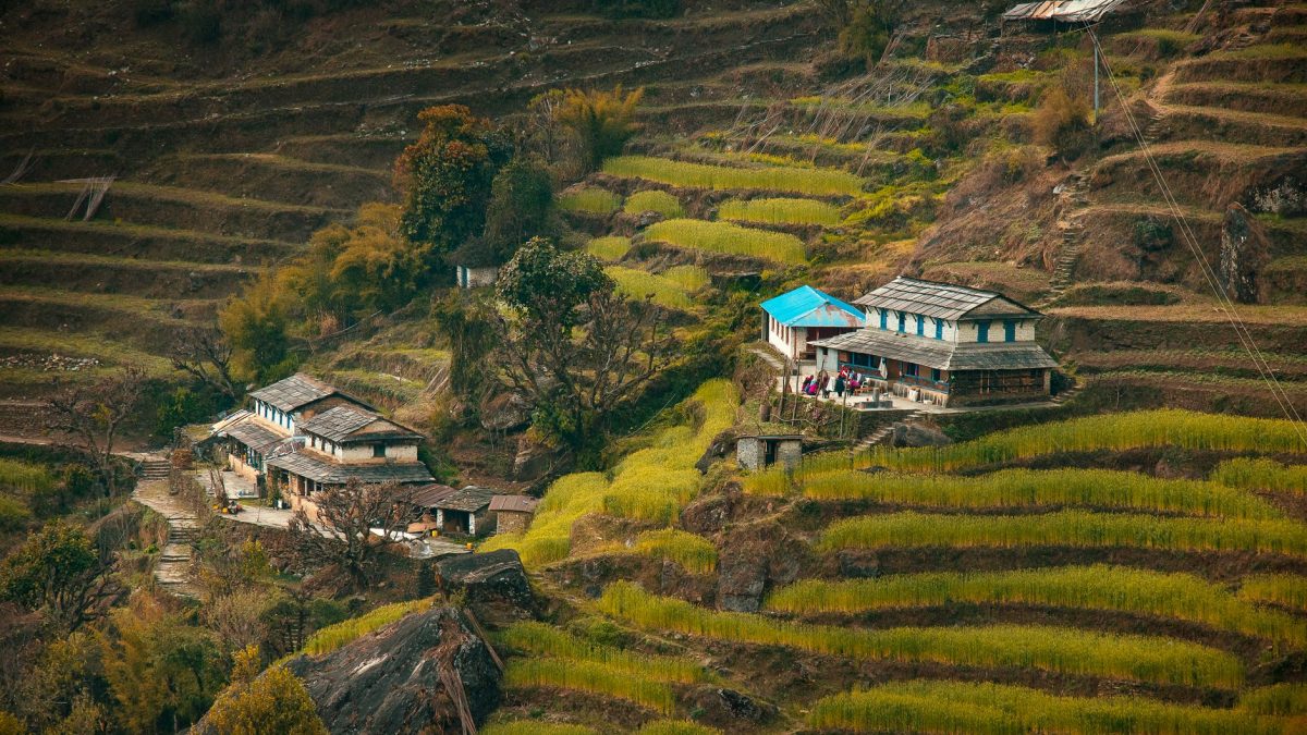 ทริปครอบครัวโปขารา — มุมลับ